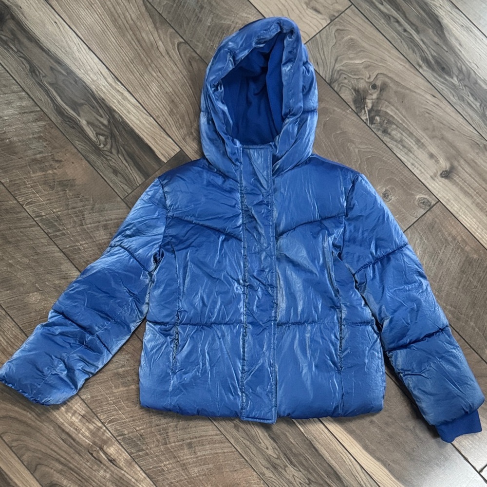 GAP Women's Vibrant Blue Puffer Coat